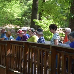Image of LLP trip participants enjoying the view from the bridge on a trip to the Duke Gardens