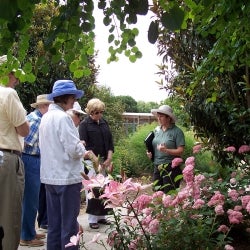 Image of guided tour during one of the LLP trips