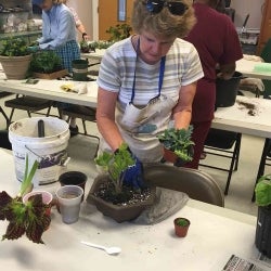 Image of a LLP gardening class participant preparing her flowering pot